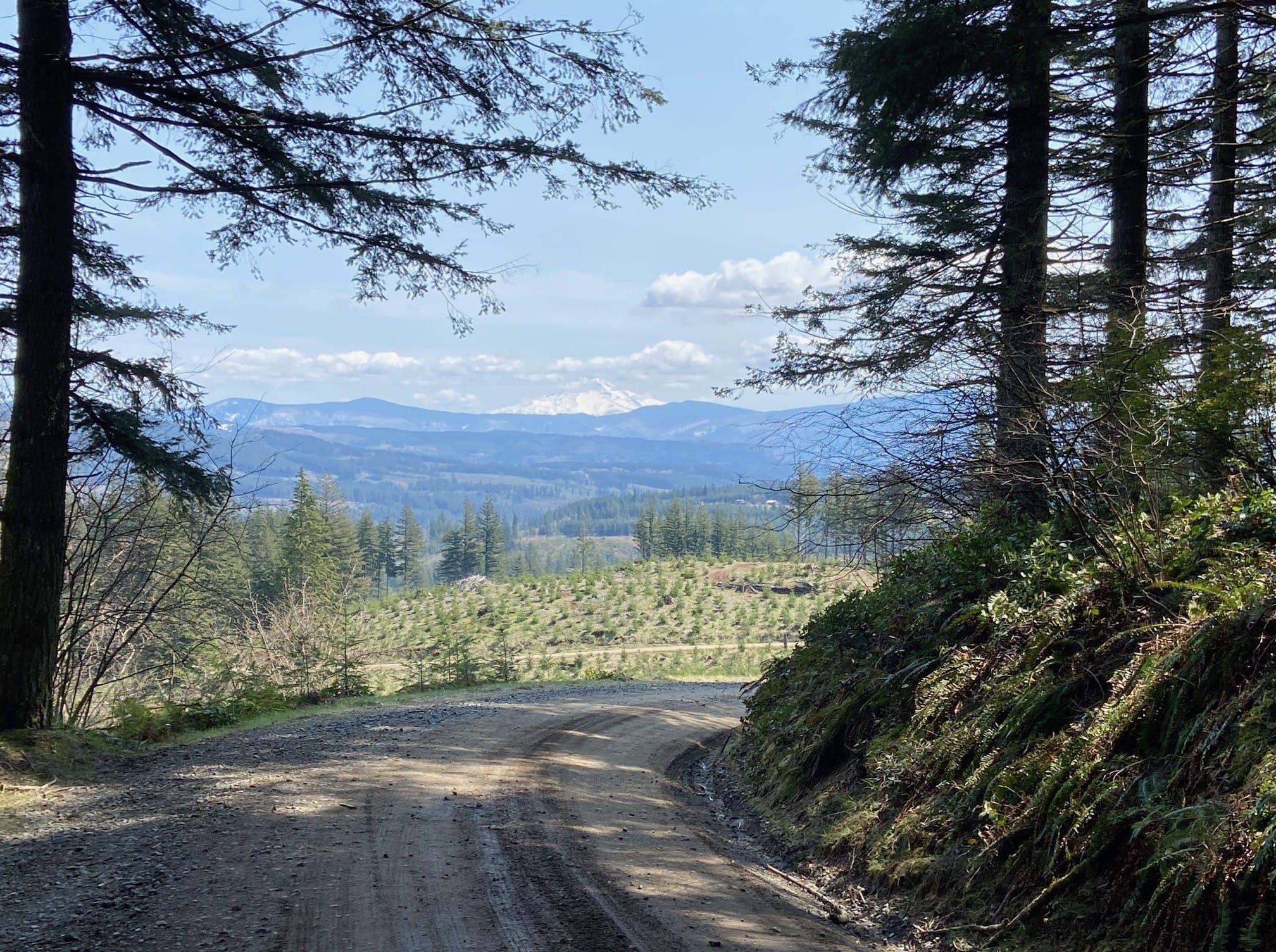 Mt-View Trail